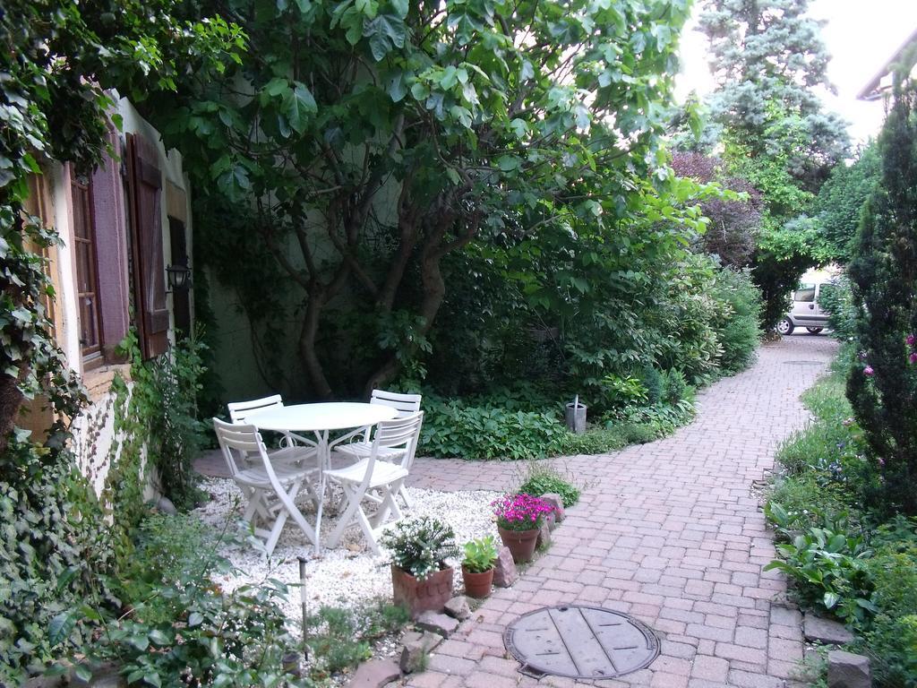 Studio La Grenouillere 투르크하임 객실 사진
